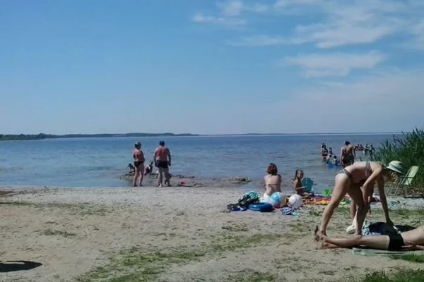 Zdjęcie 