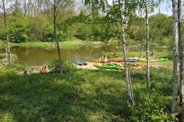 Zdjęcie 