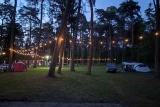 Camp LIPNO! - Stęszew k/Poznania