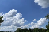 BORZO Camping Borzątew