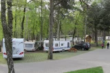 Camping STOGI nr 218