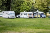 Forest Camp