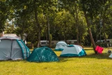 Holiday Resort  Camping InterCamp84