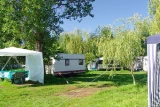 Bursztynek