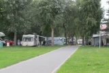 Bursztynek