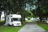 Clepardia nr 103