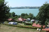 Tamowa nr 181