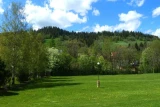 Ustup nr 207