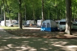 SKORZĘCIN Camping nr 242