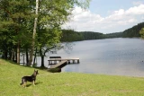 RANCHO ZIELONY KOŃ