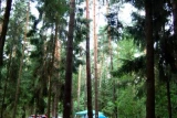 Leśne Pole Biwakowe