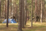 Perła Kaszub