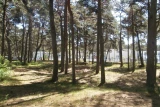 Camping Cora