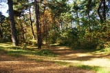 Camping Cora