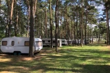 JÓZEFÓW Camping