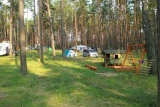 Pole biwakowe pod Sosnami