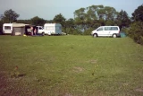 Jestok