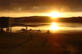Pole namiotowe camping Piaseczno Mazury