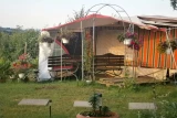Pod gruszą