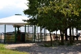 OSWiR Borzygniew