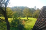 Agroturystyka pod lasem