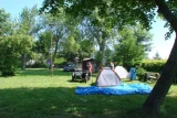 Camping nr 243