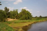 Agro Pilica