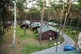 Wiking