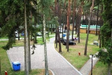 Wiking