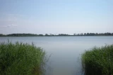 Pole namiotowe WYDERKA