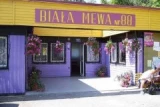 Biała Mewa