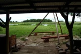 Biebrza safari
