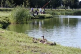 Camping nad stawem