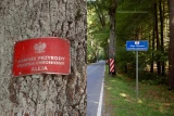 Pole Namiotowe Dłużek