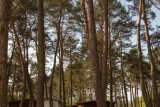 Camp Sosenki nr 32