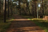 Ośrodek Cis