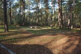Ośrodek Cis