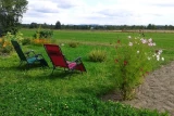 Agrocamp Stara Pawłówka