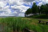 Pole namiotowe Raj