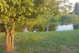 Żurawie Pole