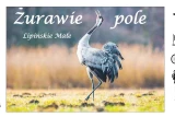 Żurawie Pole
