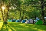 Sunrise Camp 213