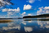 Kurka wodna