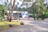 Gwarek