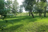 CampRest GACKI Gacki Podkowa