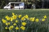 Camper Park Czarny Potok