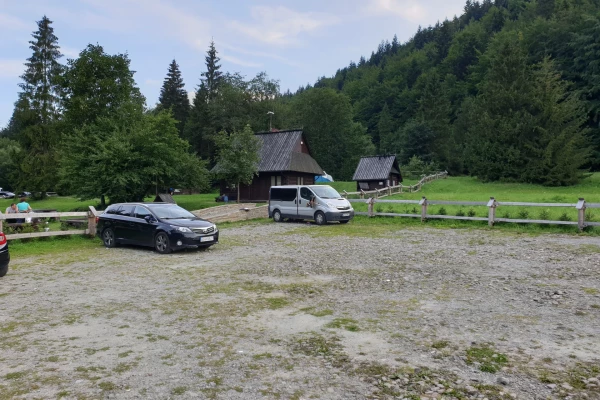 Zdjęcie 
