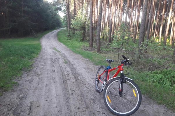 Zdjęcie 