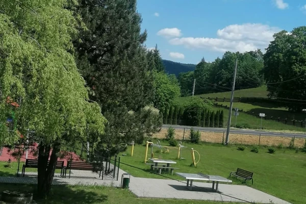 Zdjęcie 