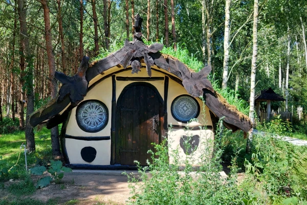 Zdjęcie 